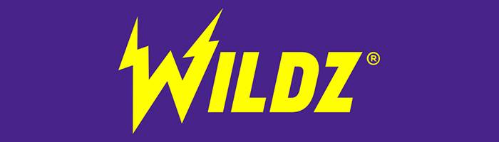 Wildz Logo