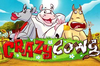 Crazy Cows Logo