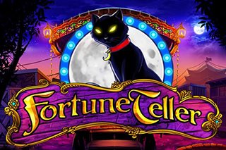 Fortune Teller Logo